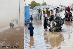 غزة بين نيران الاحتلال وغرق المخيمات: تصعيد دامٍ ومنخفض قطبي يهدد مئات آلاف النازحين (شاهد)