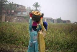 ذا ناشيونال || الأوقاف ترفع إيجارات الأراضي وتُشعل غضب الفلاحين