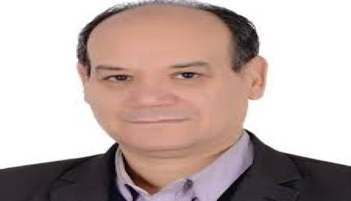 انتخابات مصرية: غياب المصداقية وتآكل الشرعية السياسية