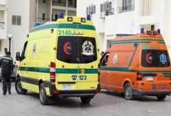 وجبة فاسدة تصيب 5 مواطنين بالتسمم في القليوبية وتفضح ضعف الرقابة