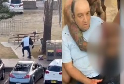 "شجاعة استثتائية".. فيديو || أحمد الأحمد يخاطر بحياته ويتصدى لأحد منفذي هجوم سيدني