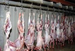 "خراب ديار".. الحمى القلاعية تفتك بالثروة الحيوانية وإهمال "العسكر" ينذر بكارثة ارتفاع أسعار اللحوم قبل رمضان