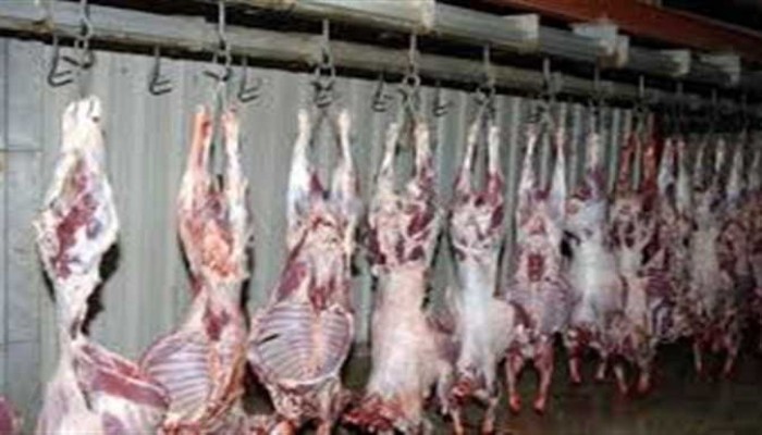 "خراب ديار".. الحمى القلاعية تفتك بالثروة الحيوانية وإهمال "العسكر" ينذر بكارثة ارتفاع أسعار اللحوم قبل رمضان