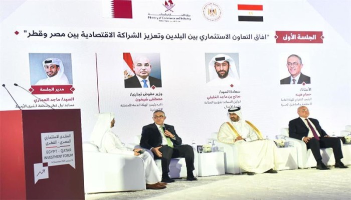 الخبيرة سالي صلاح تفضح المستور.. السيسي يفرط بـ 100 ألف متر ومصانع استراتيجية بميناء السخنة لقطر مجانا وبإعفاءات ضريبية كبيرة