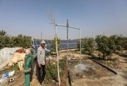 تشاتام هآوس || كيف تستفيد منطقة الشرق الأوسط وشمال إفريقيا من الحوكمة المناخية التكيفية