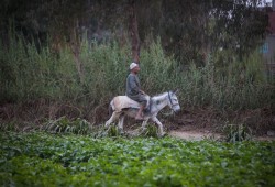 خضوع مصري تام لإثيوبيا بملف سد النهضة... كيف سلم السيسي أوراق قوة مصر لأديس أبابا