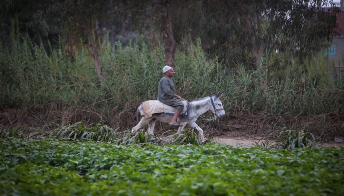 خضوع مصري تام لإثيوبيا بملف سد النهضة... كيف سلم السيسي أوراق قوة مصر لأديس أبابا