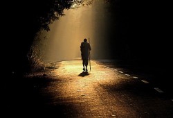 فهم مغاير للإبل المئة