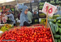 قفزة قياسية في أسعار الطماطم تصل 200% بسبب "السوسة" ونهاية موسم العروة الشتوية