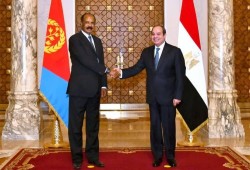 للضغط على إثيوبيا.. "ذا ناشيونال" تكشف تفاصيل اتفاقيتين "سريتين" وقعتهما مصر مع إريتريا وجيبوتي