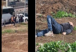 مقتل إسرائيليين وإصابة 7 آخرين في هجوم "دهس وطعن"  في "بيت شان" واستشهاد المنفذ