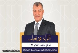 تسجيل صوتي يهز الفيوم... اتفاق شراء أصوات للبرلمان عبر جمعيات أهلية