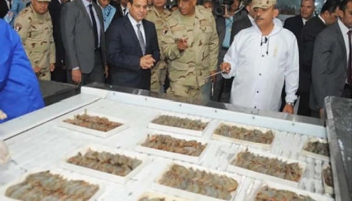 تراجع ترتيب الجيش المصري عن ترتيبه السابق 10 مراكز... الانشغال بالاقتصاد أبرز الأسباب !