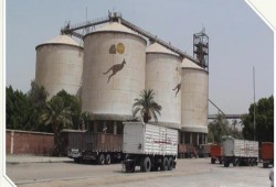 مطاحن مصر الوسطى.. “الحد الأدنى” على الورق ومحاولة انتحار فوق الصوامع: كيف تدفع حكومة الانقلاب العمال إلى الحافة؟