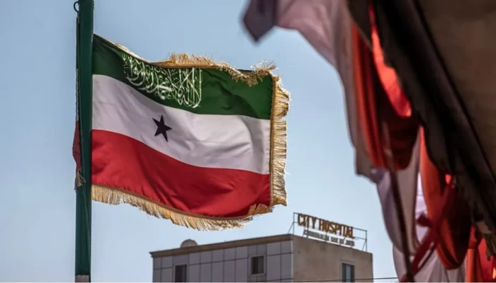 اعتراف إسرائيل بـ«أرض الصومال».. ما أبرز خسائر مصر الأمنية والاقتصادية؟