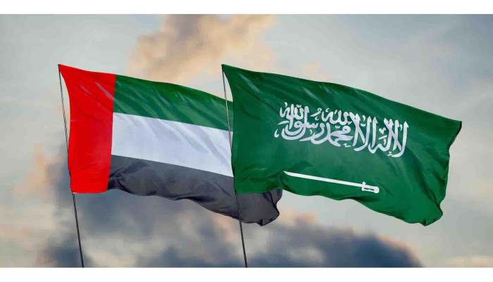 "الإندبندنت": لماذا تقف السعودية والإمارات على طرفي نقيض في الصراع اليمني؟