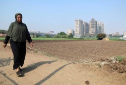 القاهرة تفقد 24% من رئتها في 8 سنوات: الغطاء الأخضر يختفي ويخنق 24 مليون مواطن