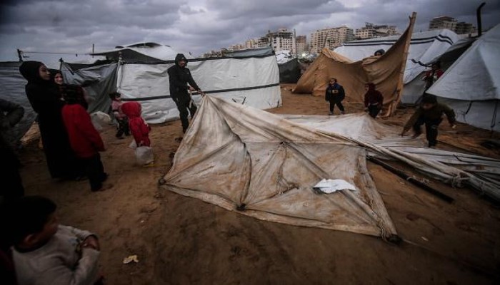 غزة على حافة وباء جديد.. القوارض تهدد حياة النازحين وتحذيرات من تفشي “حمى المستنقعات”