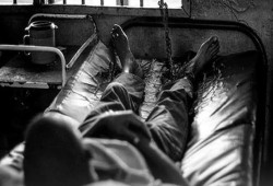 الأمعاء الخاوية تشعل غضبًا بسجون السيسي.. شهادات مؤلمة