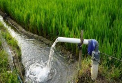 المياه الجوفية في مصر: موارد استراتيجية تستنفذها الإمارات بشكل مفرط وتُحرّمها الدولة على الفلاح