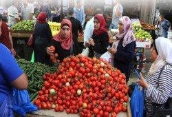 الطماطم تقترب من 20 جنيهًا قبل رمضان.. تحذيرات من نقص المعروض ودعوات للتخزين