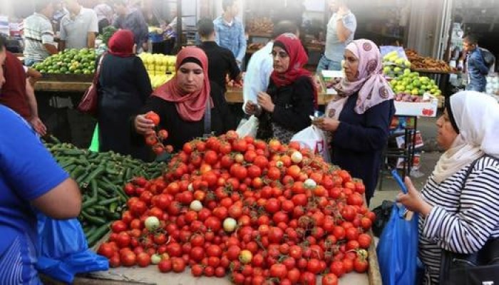 الطماطم تقترب من 20 جنيهًا قبل رمضان.. تحذيرات من نقص المعروض ودعوات للتخزين