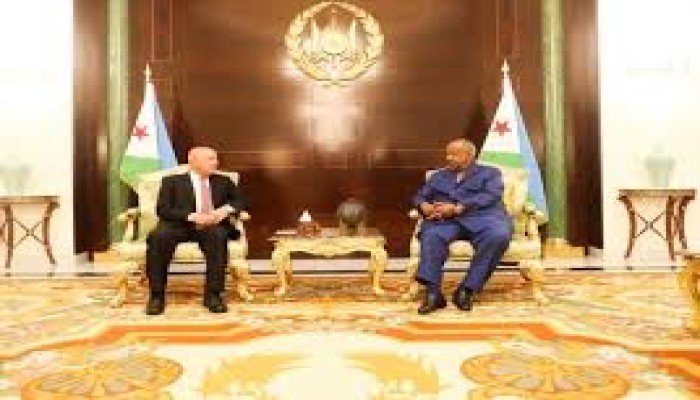 عن طريق اتفاقية الموانئ مع جيبوتي.. "هورن ريفيو": مصر نجحت في تطويق إثيوبيا 