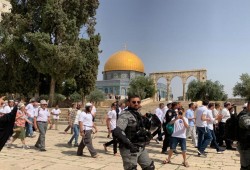 70 ألف مستوطن يقتحمون الأقصى في 2025.. و10 مشاريع تهويدية ما زال العمل فيها مستمرًا