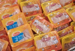 جدل استيراد الدواجن… سياسات ارتباك تُربك السوق وتدفع المنتج المحلي إلى حافة الخسارة