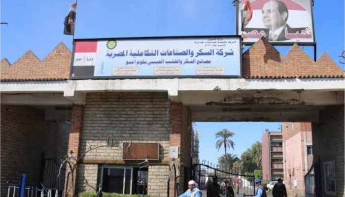 تدني الأجور وتأخر صرفها والتنكيل بالمحتجين.. انتهاكات جسيمة لحقوق عمال شركة السكر والصناعات التكاملية 