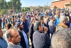 اعتصام آلاف العمال بـ 3 محافظات يشعل مصانع السكر: أرباح متأخرة وأجور تحت الحد الأدنى وتجاهل حكومي فاضح