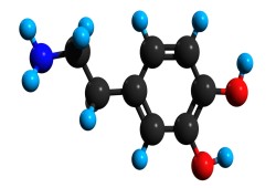 كيف تتجنب استنزاف الدوبامين بسبب إدمان التكنولوجيا؟