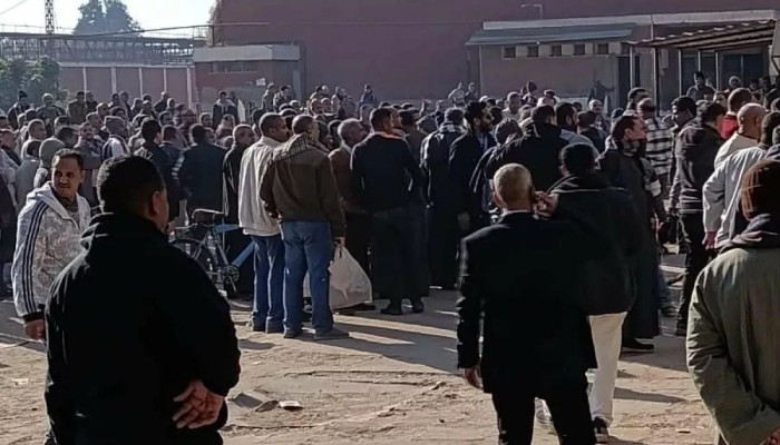 غليان في مصانع السكر.. اعتصامات عمالية تتسع إلى 8 مصانع ومطالب برفع الأجور والأرباح
