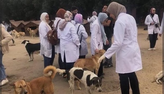 شِلتر للكلاب: فقراء يبحثون عن مأوى.. ومحافظ القاهرة يبني مأوى للكلاب