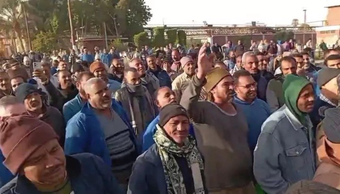 عمال السكر بالمحافظات يرفضون قرارات وزير التموين ويتمسكون بمطالبهم