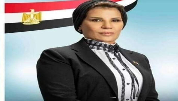 قضايا تزوير وحبس وسرقة أموال عامة وزوج مسجل خطر.. النائبة صبورة السيد نموذج فاضح لنواب السيسي