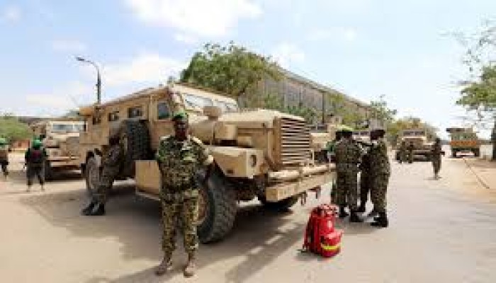 "هورن ريفيو": السلاح المصري في الصومال قد ينتهي في يد حركة الشباب والشبكات التابعة لها 