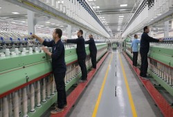 خبير اقتصادي: أرقام قطاع الأعمال العام «متواضعة» ونموه تضخمي