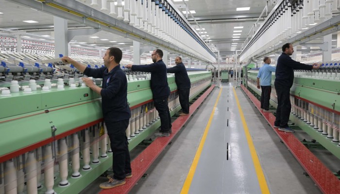 خبير اقتصادي: أرقام قطاع الأعمال العام «متواضعة» ونموه تضخمي