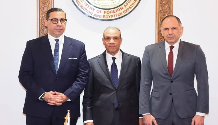 غضب تركي من تصريحات بدر عبدالعاطي: السيسي لم ينسَ دعم أردوغان للإخوان 