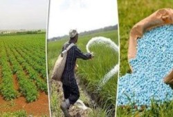 جنون أسعار المبيدات الزراعية والأسمدة.. إعلان موت الزراعة بمصر من أجل بيزنس العسكر