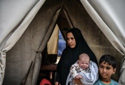 الداعية جهاد حلس: 60 ألف مولود في غزة عام 2025 والاحتلال مصدوم لا يصدق