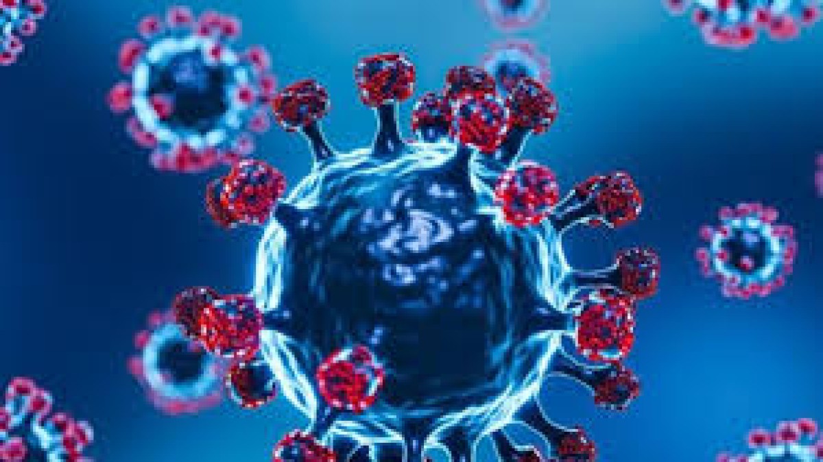 نسبة الوفيات 75%.. تحذيرات من خطر انتشار فيروس "نيباه" عالميًا 