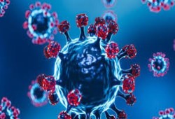 نسبة الوفيات 75%.. تحذيرات من خطر انتشار فيروس "نيباه" عالميًا 