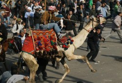 بعد 15 عامًا على موقعة الجمل ومذبحة بورسعيد: دمٌ لم يُحسم حسابه والسيسي وطنطاوي أبرز الجناة