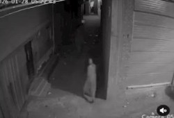 بالفيديو|| لحظة محاولة اختطاف مسن بعد الفجر في الدقهلية