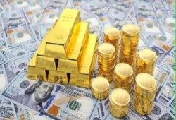 أفريكا بيزنس إنسايدر || حكاية ذهب إفريقيا في 2025: كيف ربحت وخسرت البنوك المركزية في مصر وغانا وزيمبابوي احتياطياتها