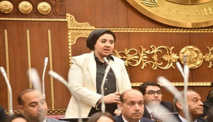 “بعد ما أفقرونا هيسلخوا جلودنا زي الأرانب”... هذا ما قاله المصريون عن مقترح التبرع بالجلد والأنسجة البشرية!!