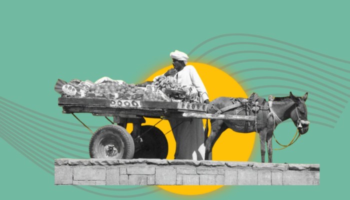 "الباعة الجائلين"  أكثر من 70 عامًا بلا حماية: عجز تشريعي مدمر