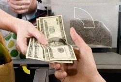 صندوق معاشات بالدولار للمصريين بالخارج.. حماية للمدخرات أم بوابة جديدة لحلب العملة الصعبة؟